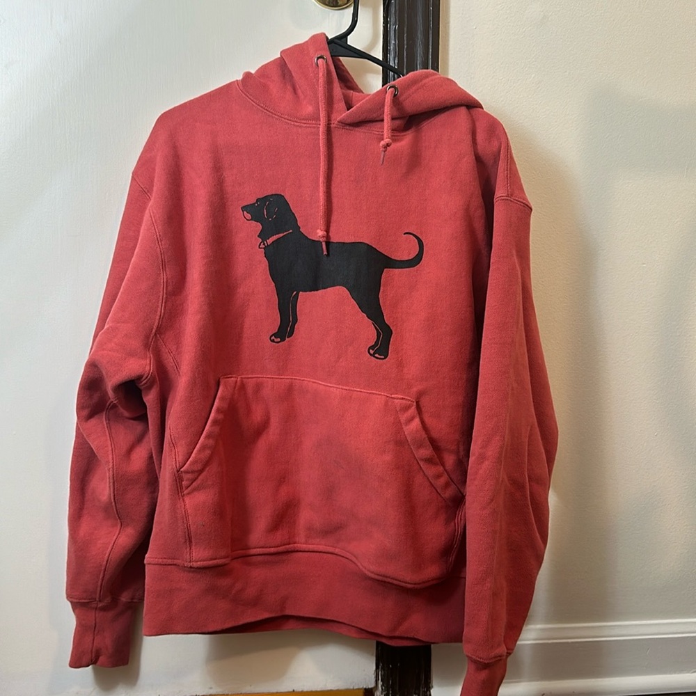 The black dog hoodie